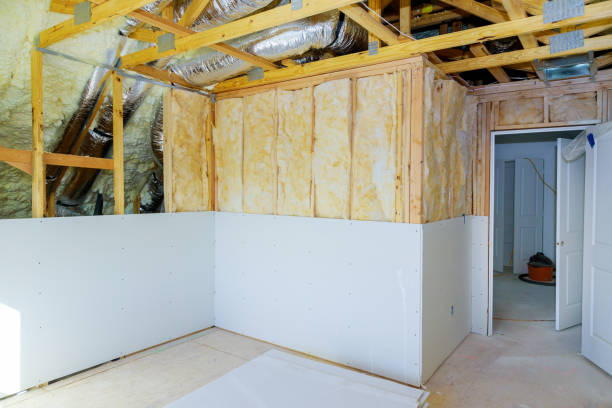 Best Insulation Installation Services in Carthage, MS