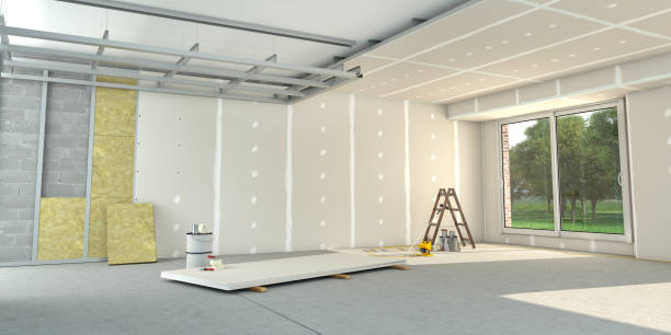 Best Residential Insulation in Carthage, MS