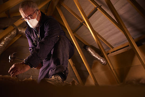 Reliable MS Insulation Contractor Solutions